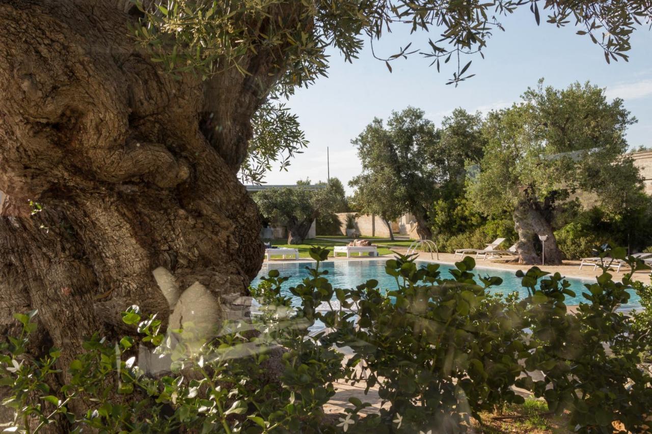 Masseria Torre Del Diamante Torre Canne